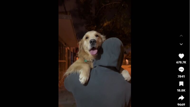 Se cruzó con su ex mientras paseaba al perro y el reencuentro entre ambos es de película 