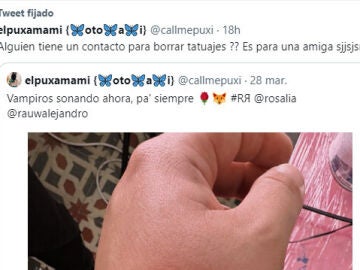 El mensaje de un fan de Rosalía tras conocer la ruptura