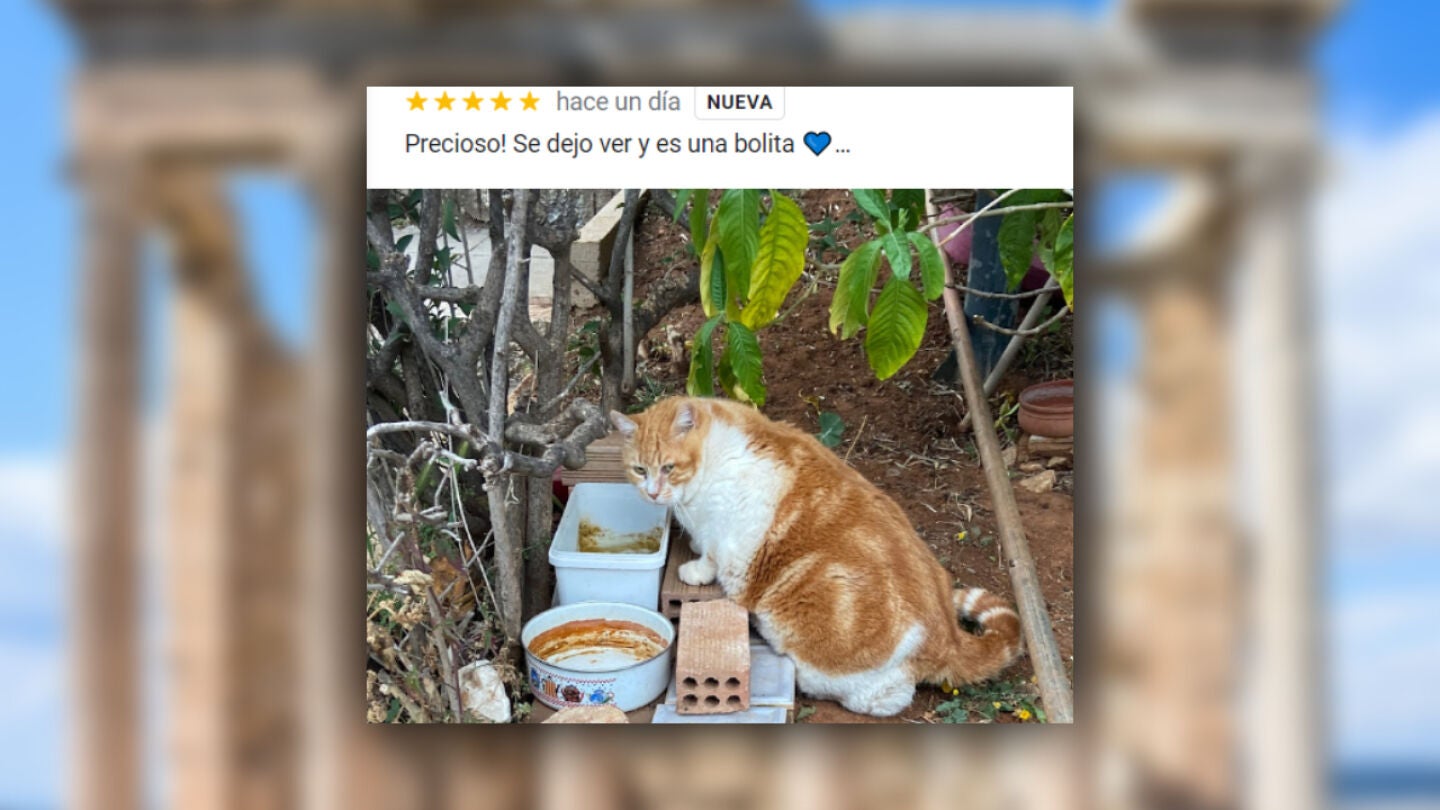 Titan Cat de Atenas