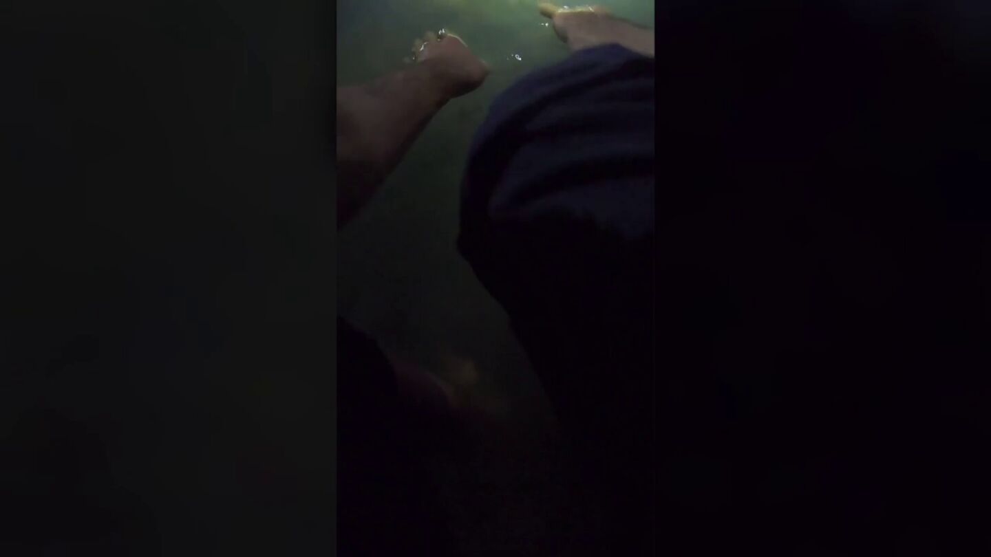 Un fot&oacute;grafo de vida silvestre captura un cocodrilo con las manos de noche