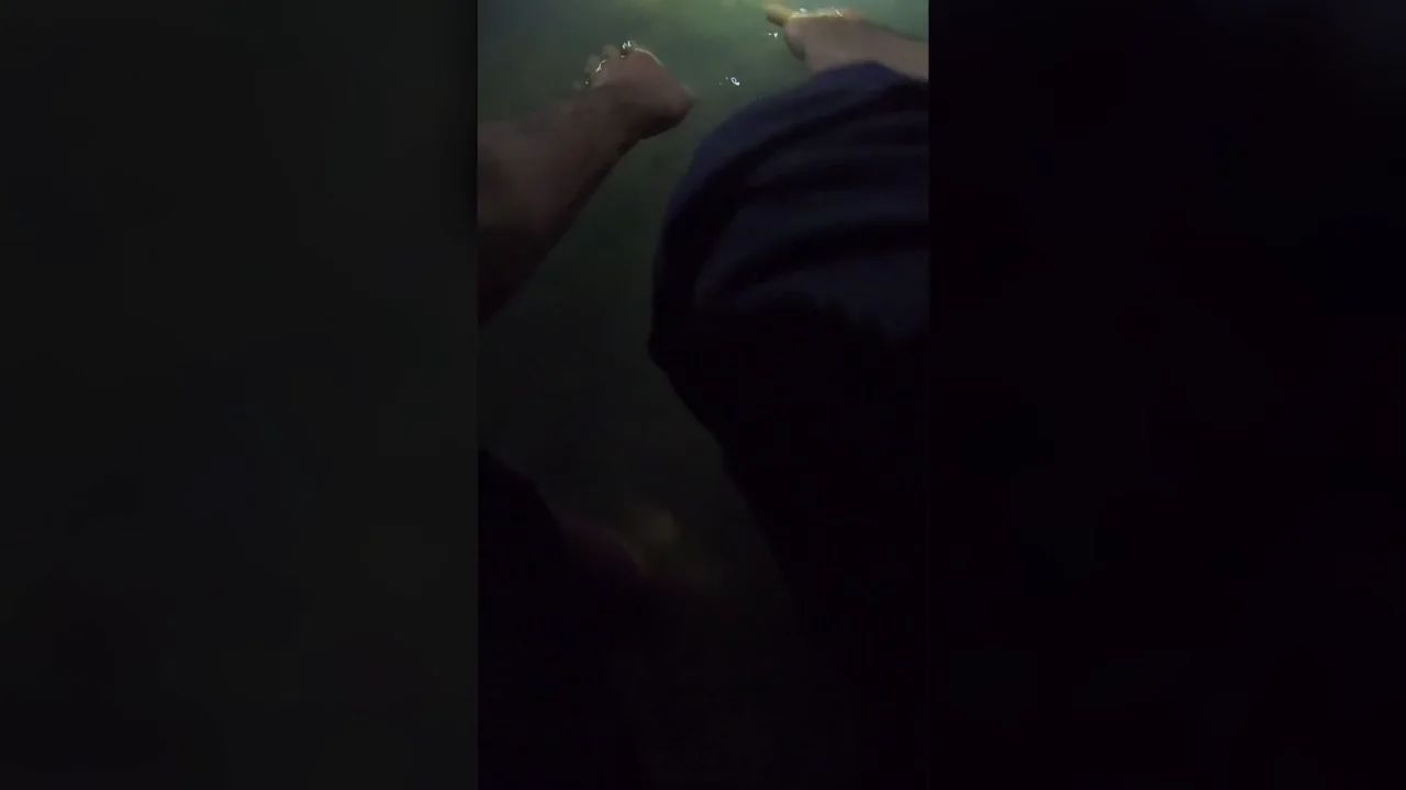 Un fot&oacute;grafo de vida silvestre captura un cocodrilo con las manos de noche