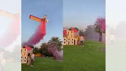 Vídeo viral sobre el accidente que sufre la avioneta durante el gender reveal. Vídeo viral sobre el accidente que sufre la avioneta durante el gender reveal.