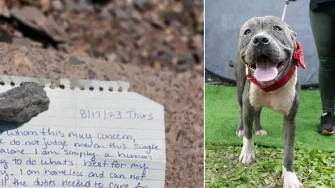 La carta del dueño de Milo La carta del dueño de Milo