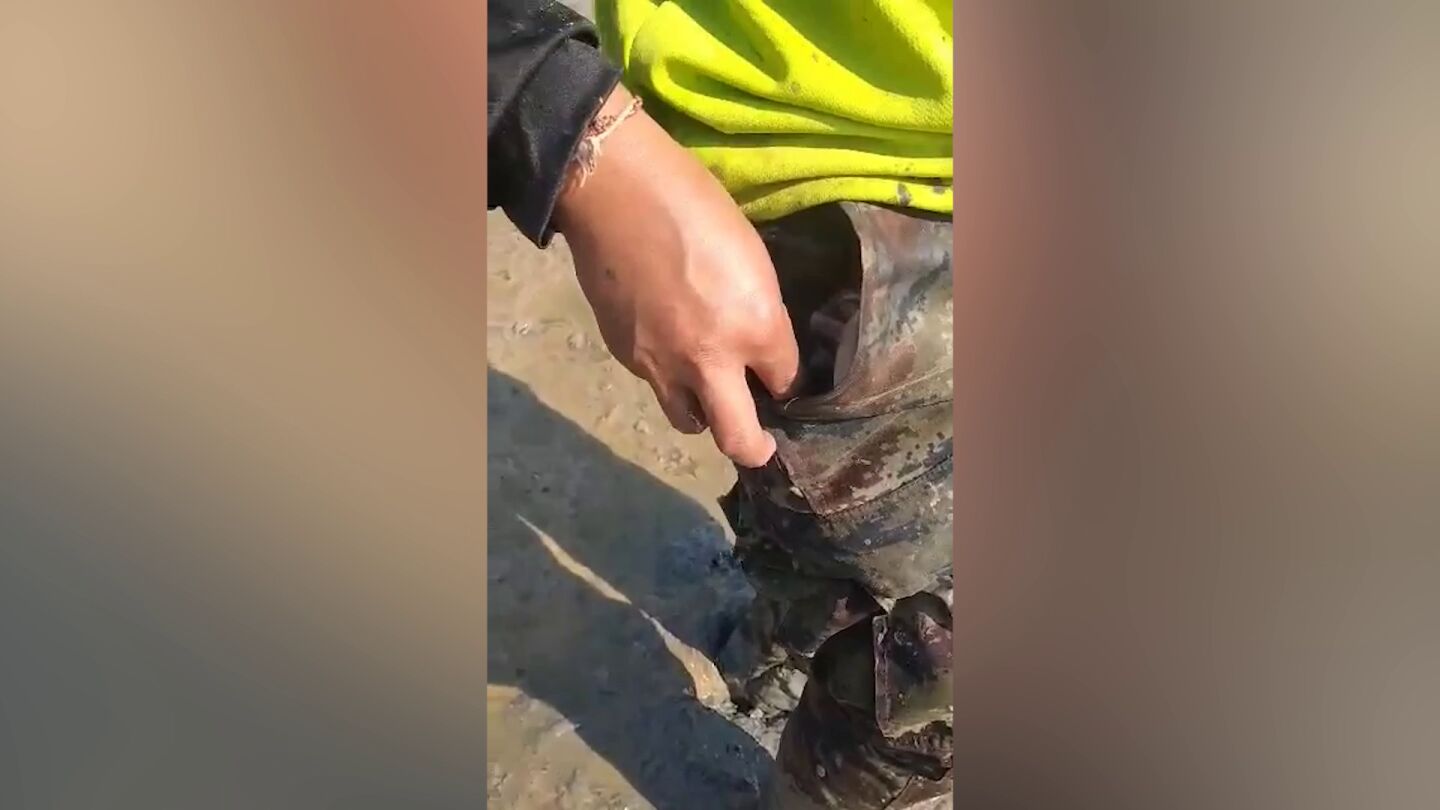 Sacando a la serpiente de su pantal&oacute;n