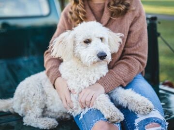 Fotograf&iacute;a de una persona acariciando a su perro.