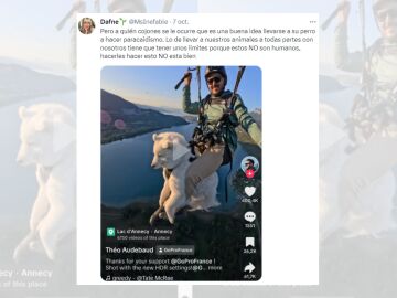 Tuit criticando al hombre que ha saltado en paraca&iacute;das junto a su perro.