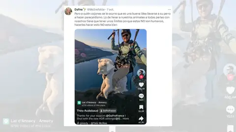 Tuit criticando al hombre que ha saltado en paracaídas junto a su perro. Tuit criticando al hombre que ha saltado en paracaídas junto a su perro.