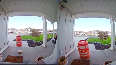 TikTok viral en el que roban un paquete con un cono de carretera. TikTok viral en el que roban un paquete con un cono de carretera.