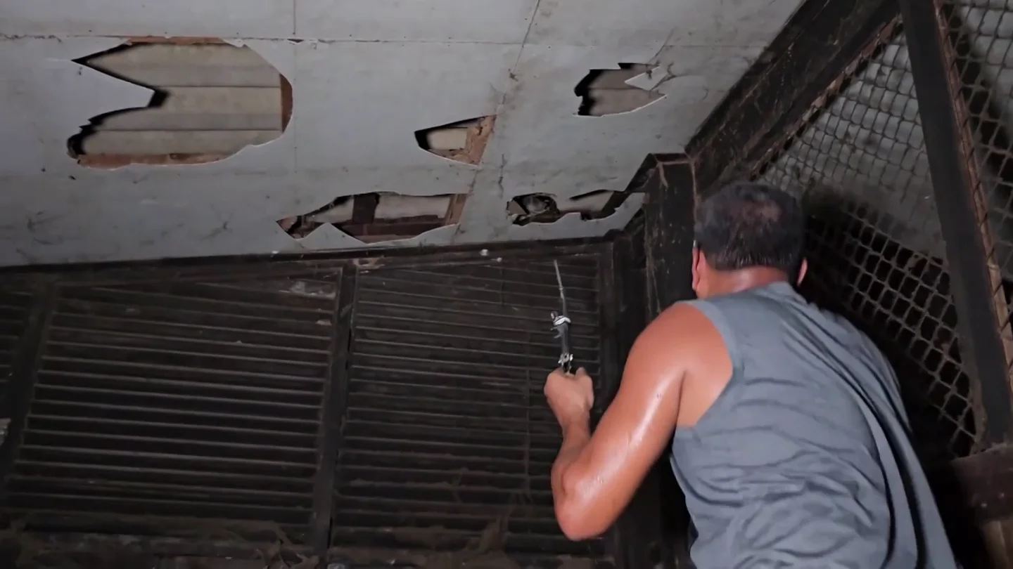 Cazadores de serpientes hacen agujeros en el techo de una casa para atrapar a una gigantesca pitón Cazadores de serpientes hacen agujeros en el techo de una casa para atrapar a una gigantesca pitón