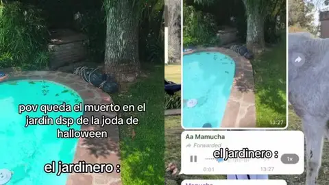 Una familia se olvida de guardar la decoración de Halloween Una familia se olvida de guardar la decoración de Halloween