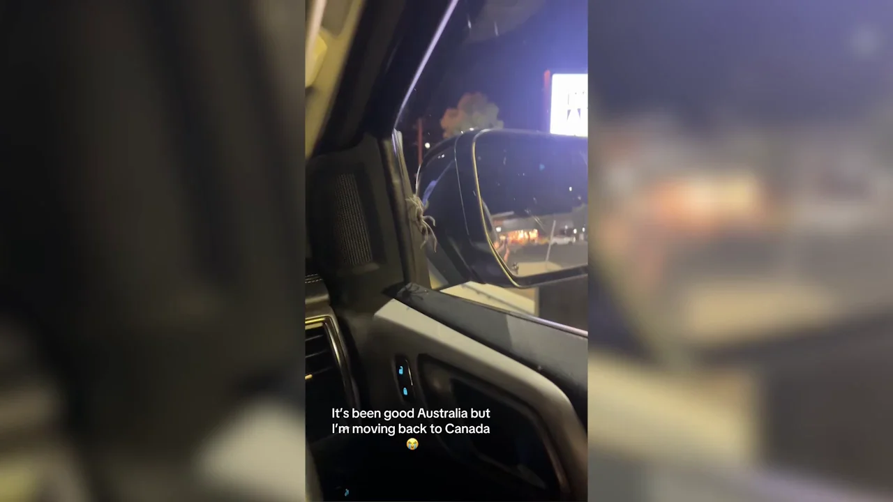 Una mujer con aracnofobia se encuentra una gigantesca ara&ntilde;a en su coche