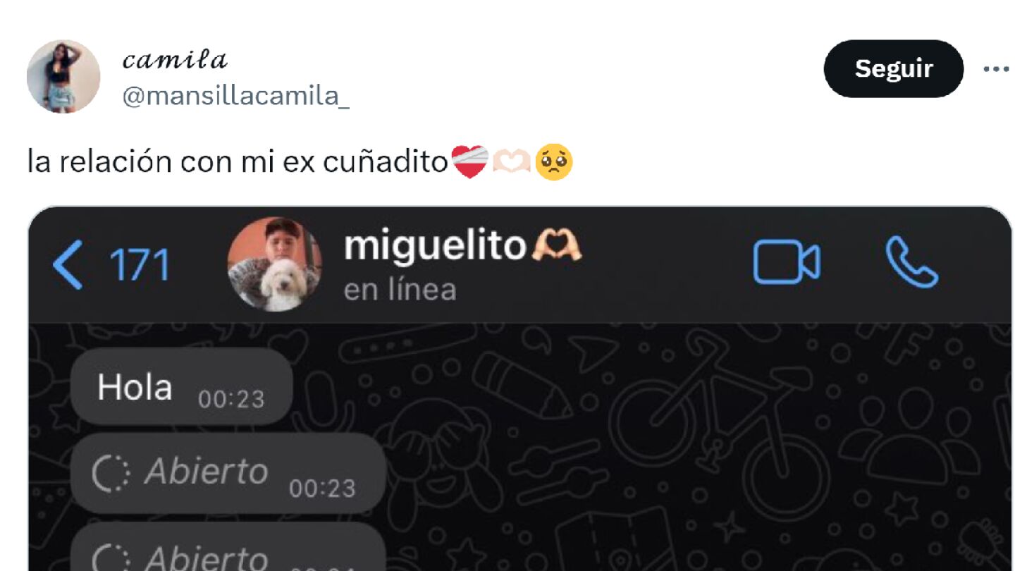 Pantallazo del tuit de @mansillacamila_
