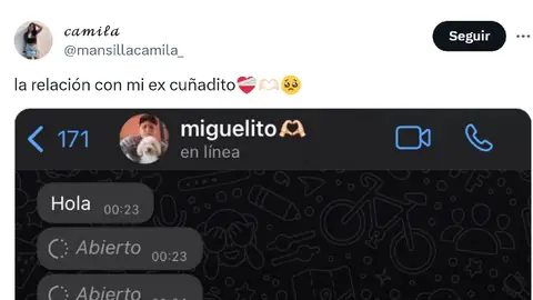 Pantallazo del tuit de @mansillacamila_ Pantallazo del tuit de @mansillacamila_