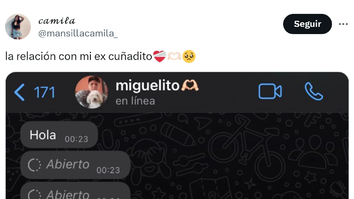 Pantallazo del tuit de @mansillacamila_