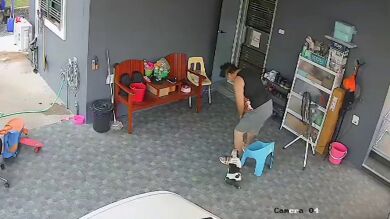 Un perro le gasta una broma a su dueño empujando la silla cuando se va a sentar