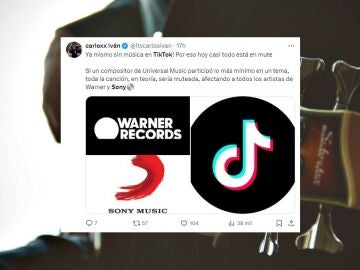 Fin a gran parte de la m&uacute;sica en TikTok