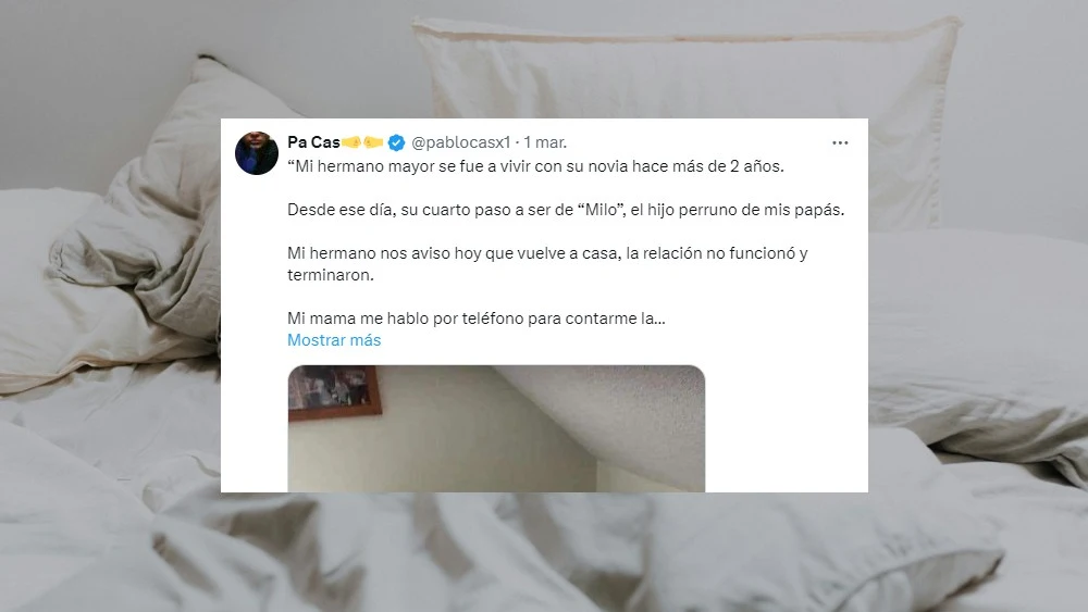 Su perro se apropió de su habitación Su perro se apropió de su habitación