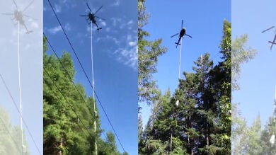 Un helicóptero y una sierra gigante: así podan los árboles que crecen junto a los postes de luz