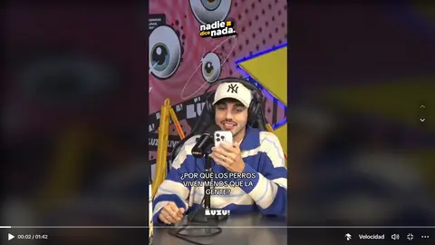 Tiktok explicación por qué los perros viven menos que los humanos Tiktok podcast Nadie sabe nada