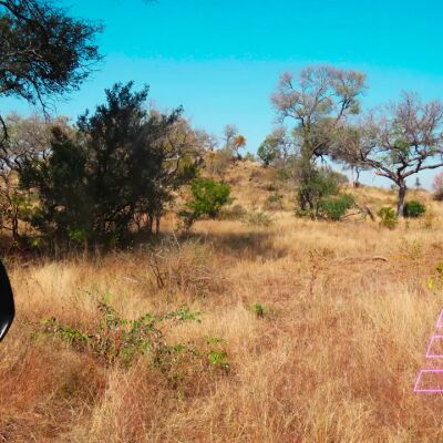 ¿Eres capaz de encontrar al leopardo escondido en esta sabana?