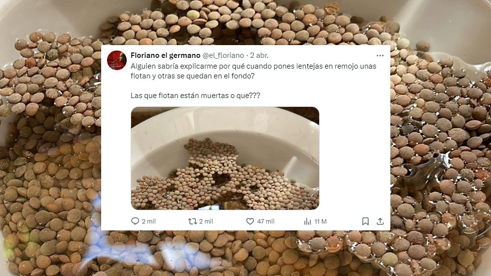 Tuit de @el_floriano sobre las lentejas
