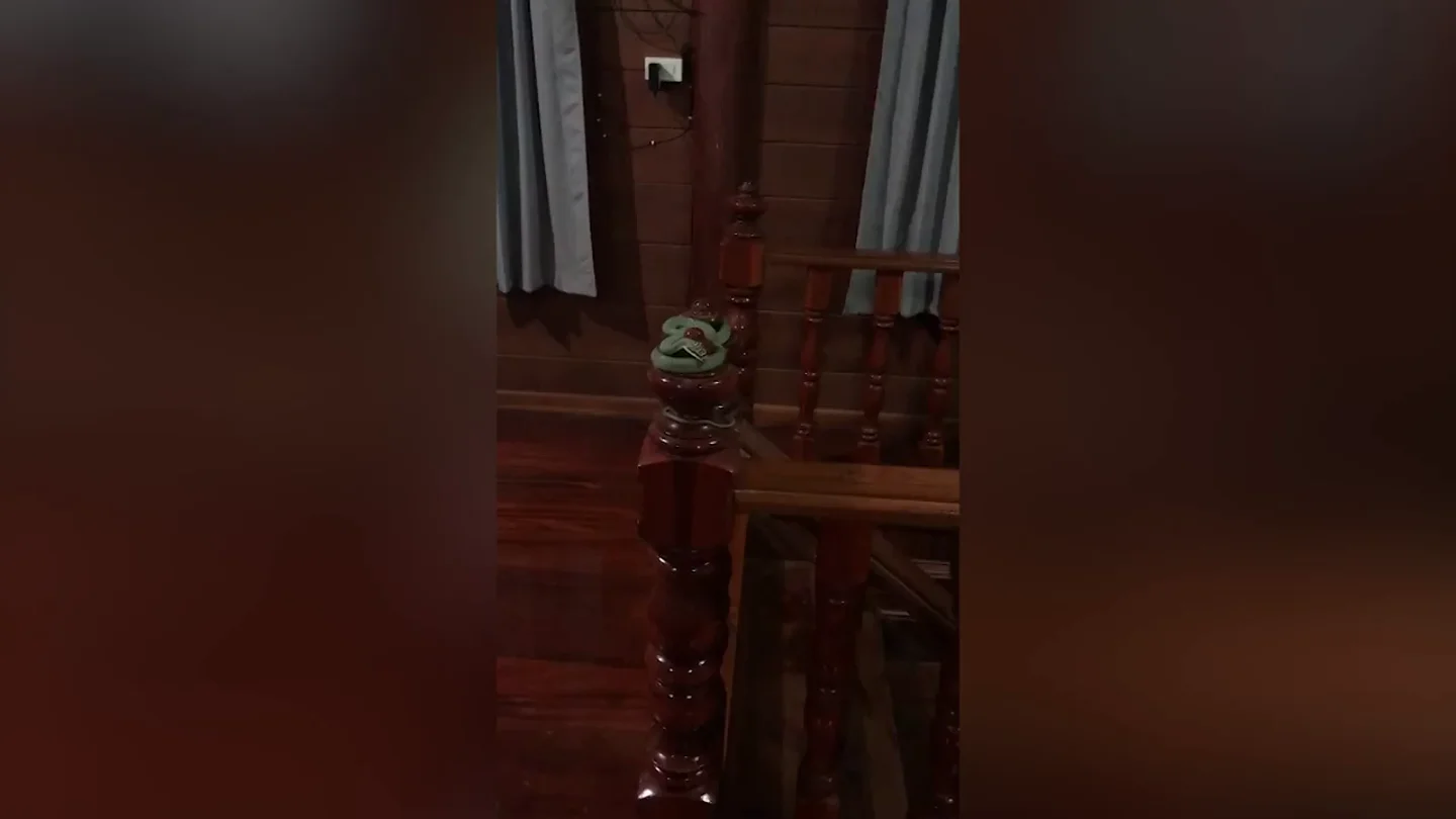 Una familia aterrorizada encuentra una serpiente enrollada en la barandilla de la escalera de su casa Una familia aterrorizada encuentra una serpiente enrollada en la barandilla de la escalera de su casa