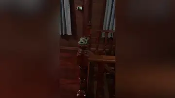 Una familia aterrorizada encuentra una serpiente enrollada en la barandilla de la escalera de su casa