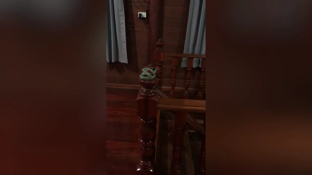 Una familia aterrorizada encuentra una serpiente enrollada en la barandilla de la escalera de su casa