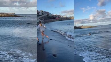 Un tiburón acecha en la orilla y aterroriza a unos bañistas que salen corriendo en una playa de Gran Canaria