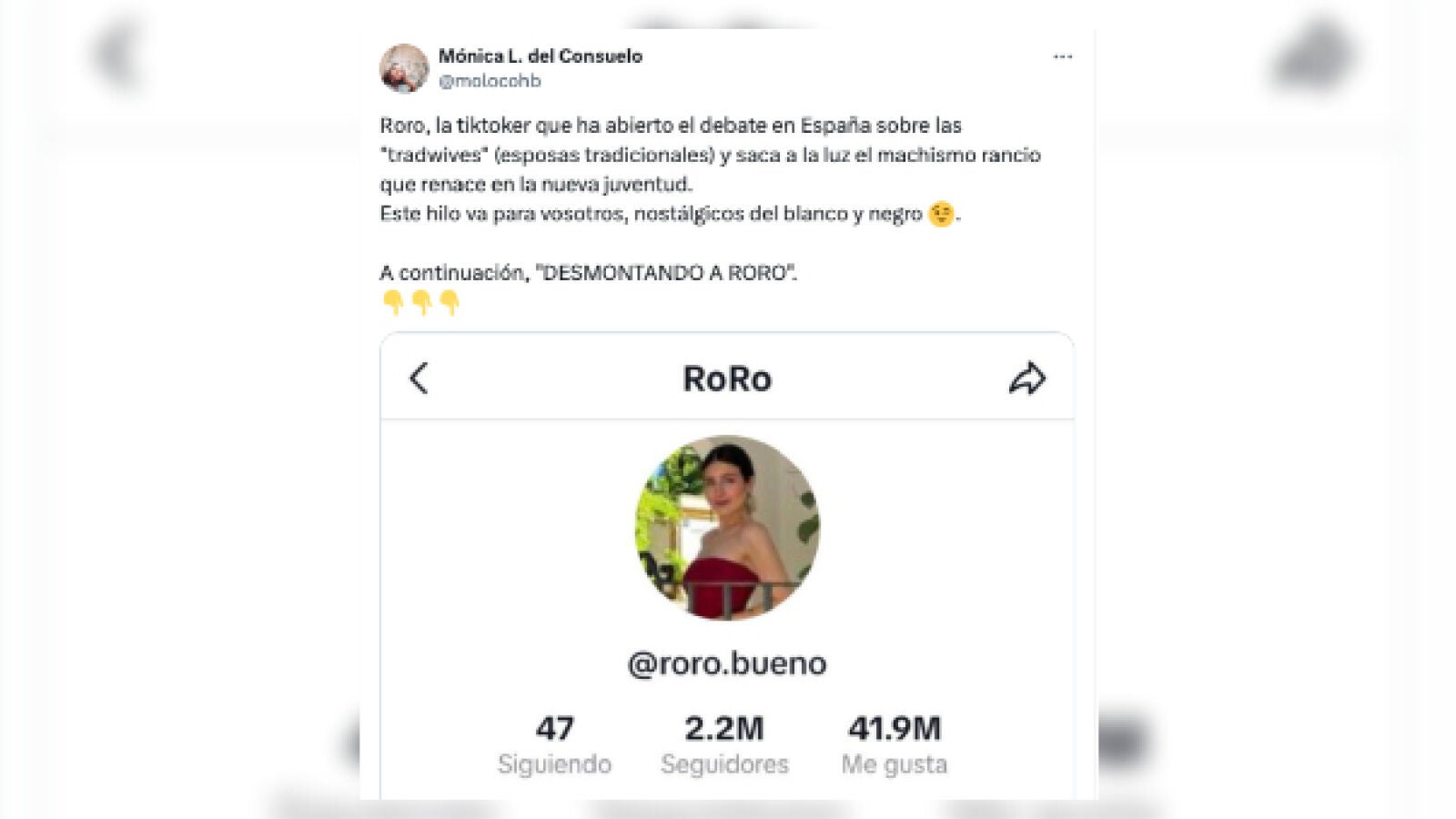 Desmontando a RoRo: el hilo que analiza el fenómeno de la tiktoker del momento