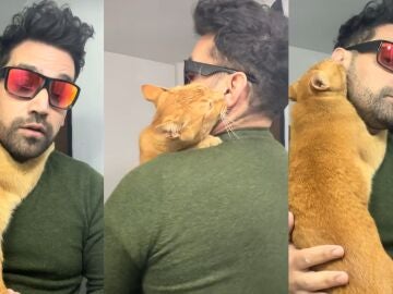 V&iacute;deo de @hellosoynaza donde muestra a su gato con apego ansioso