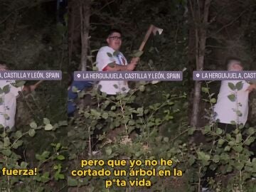 V&iacute;deo de subido por @postureoespanol donde muestra a un chico cortando un &aacute;rbol