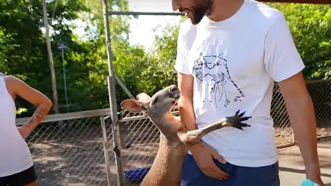 Imagen de TheGrefg con el canguro Imagen de TheGrefg con el canguro