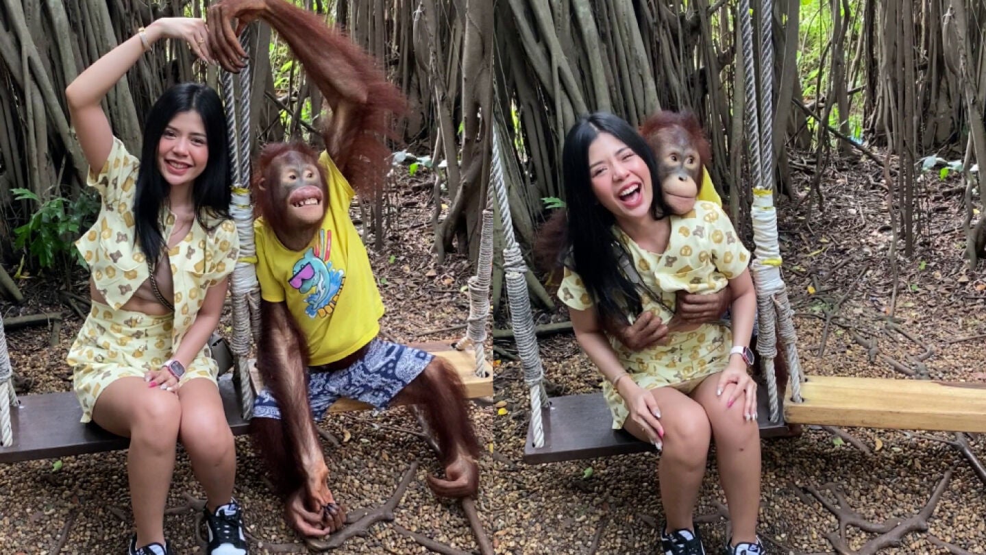 Un orangut&aacute;n agarra los pechos de una turista