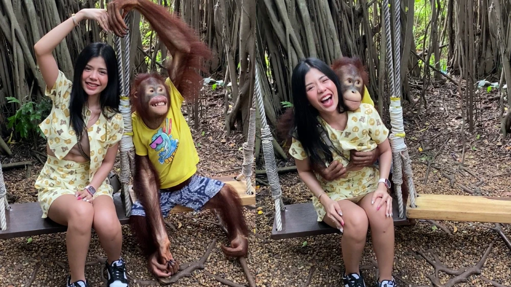 Un orangut&aacute;n agarra los pechos de una turista