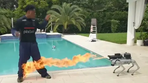 Imagen del directo de Speed Imagen del directo de Speed