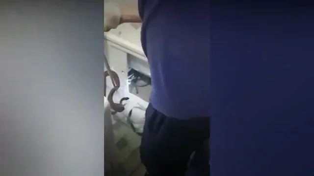 Enorme pitón se desliza fuera del vater de un baño en Rusia Enorme pitón se desliza fuera del vater de un baño en Rusia