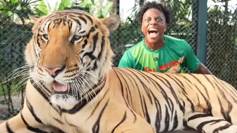 Imagen de IShowSpeed en Tailandia Imagen de IShowSpeed en Tailandia