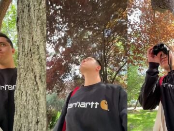 Un tiktoker narra su surrealista aventura con un comedero para p&aacute;jaros tras un accidente inesperado