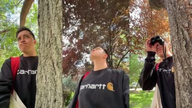 Un tiktoker narra su surrealista aventura con un comedero para pájaros tras un accidente inesperado