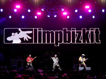 Imagen de archivo de Limp Bizkit