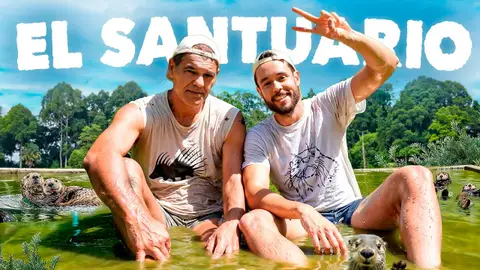 Miniatura de un vídeo de YouTube de TheGrefg Miniatura de un vídeo de YouTube de TheGrefg