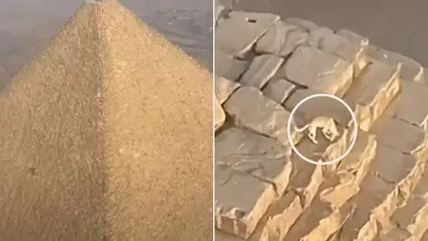 Perro en la Gran Pirámide de Giza Perro en la Gran Pirámide de Giza