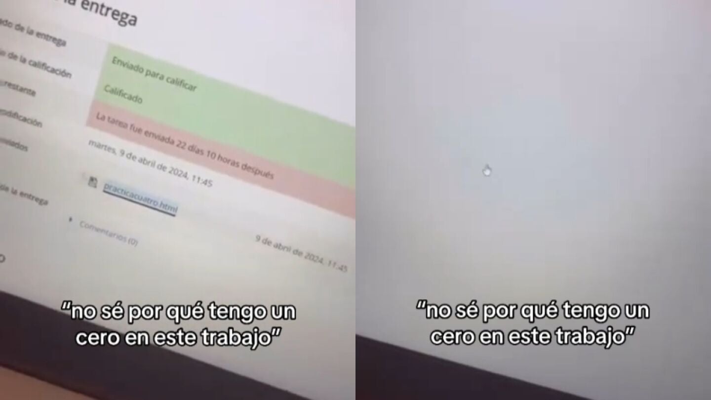 Le ponen un cero en un trabajo de la universidad y se lleva una sorpresa al revisar lo que hab&iacute;a mandado