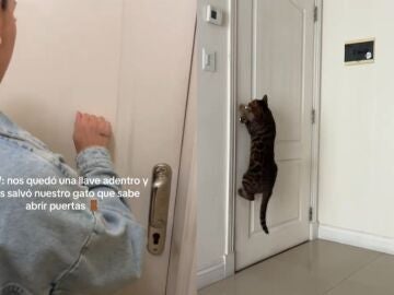 Acabaron teniendo que convencer a su gato para que les abriera desde dentro