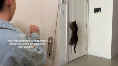 Se les olvidaron las llaves en casa y acabaron teniendo que convencer a su gato para que les abriera desde dentro