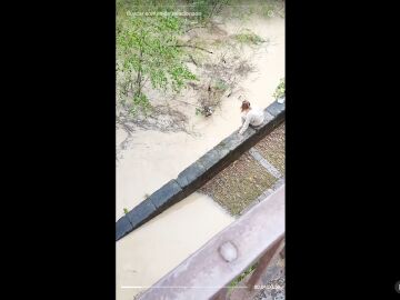 Una mujer se vuelve viral en tiktok por tirarse al Guadalquivir a rescatar un gato