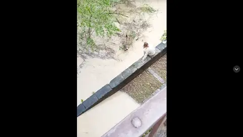 Una mujer se vuelve viral en tiktok por tirarse al Guadalquivir a rescatar un gato Una mujer se vuelve viral en tiktok por tirarse al Guadalquivir a rescatar un gato