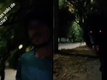 El perro de pesadilla de este tiktoker