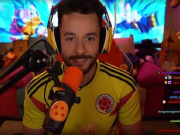 Imagen de TheGrefg en stream